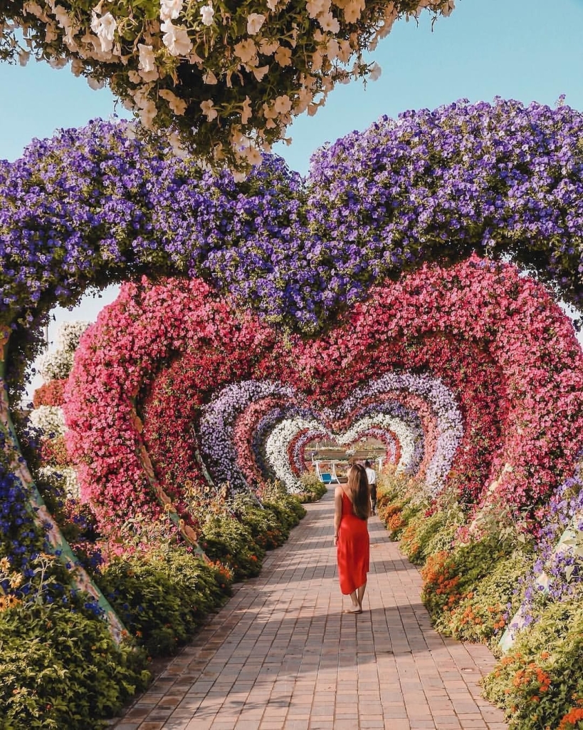 Como deixar o jardim florido com lágrima de cristo-03