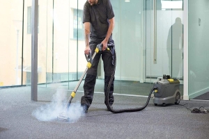 Descubra Como Limpar Sofá, Tapete e Cortina de Forma Prática e Eficiente com Mop a Vapor