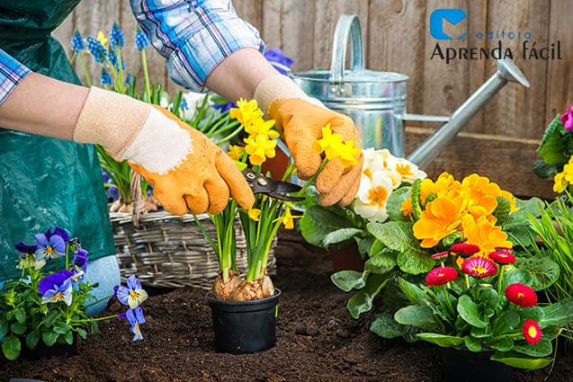 Mantenha seu viveiro de plantas limpo