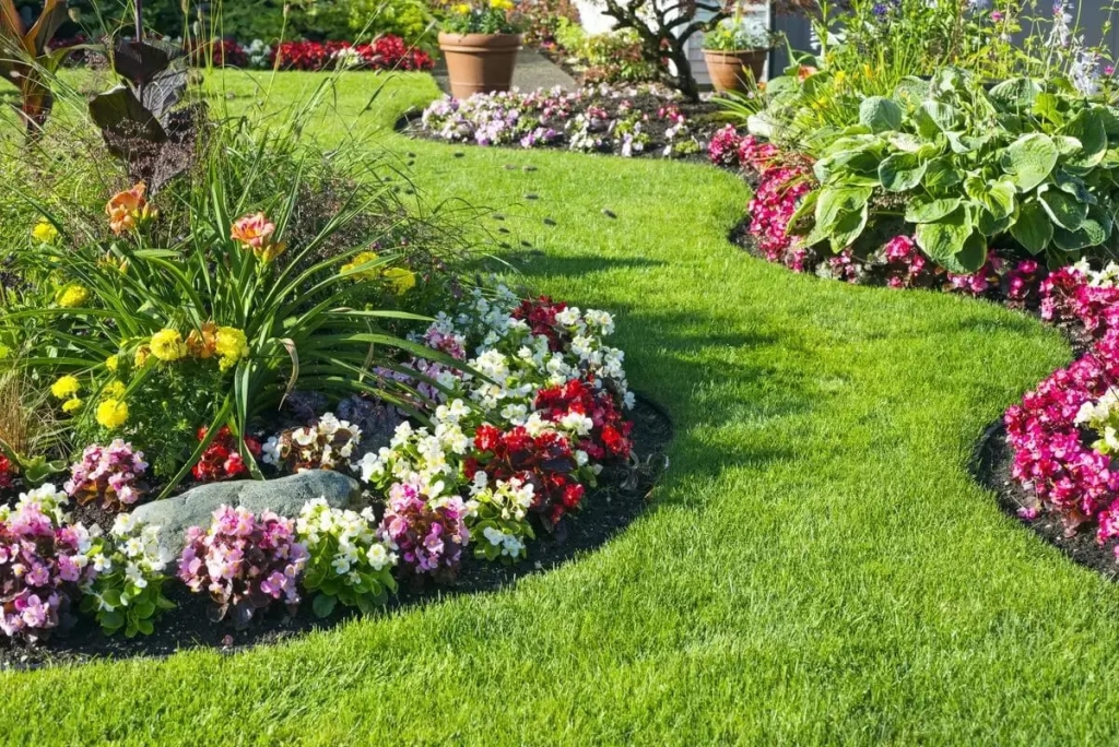 Plantas para jardim-O que plantar em jardim com muito sol