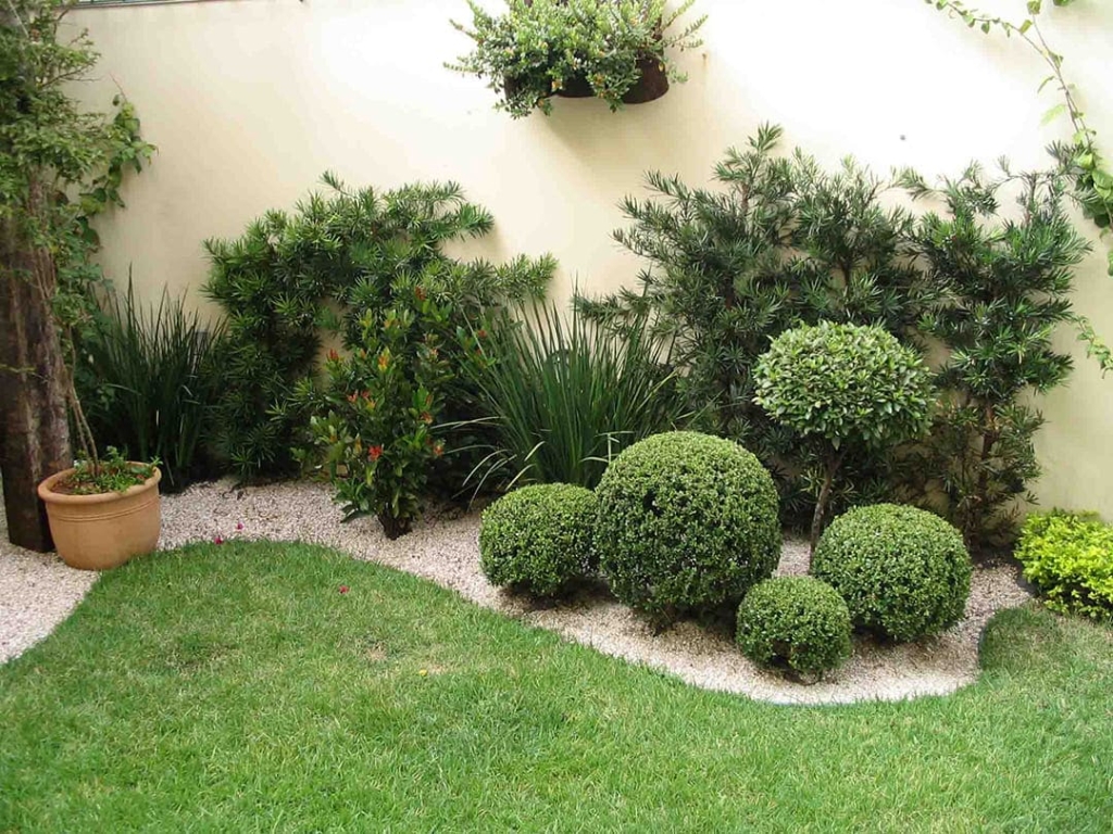 Plantas para jardim-O que plantar no jardim pequeno