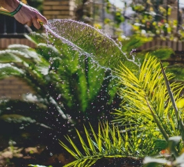 Como Criar um Jardim para o Inverno Resistente e Bonito