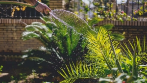 Como Criar um Jardim para o Inverno Resistente e Bonito-00