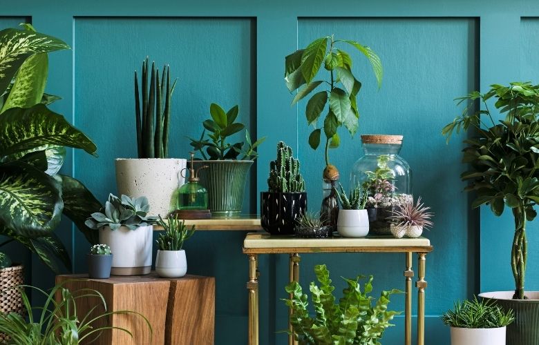 Vasos de Plantas Ideias que Combinam com Seu Estilo Minimalista-001