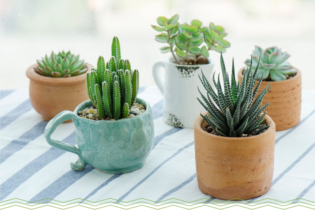 Vasos de Plantas Ideias que Combinam com Seu Estilo Minimalista-01