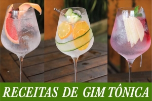 Receitas Incríveis de Gin Tônica Para Impressionar Seus Amigos